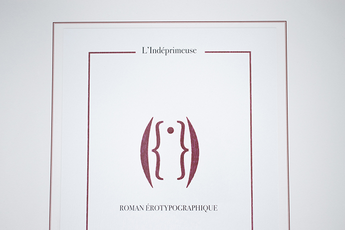 Couverture du livre Roman érotypographique