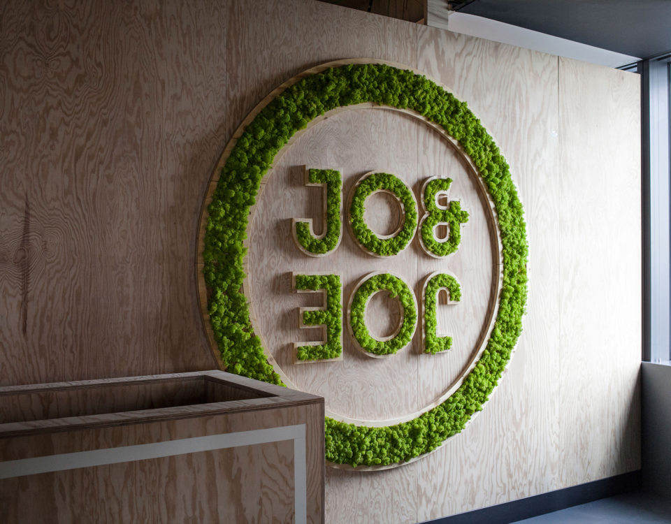 Logo végétal de Jo& oe